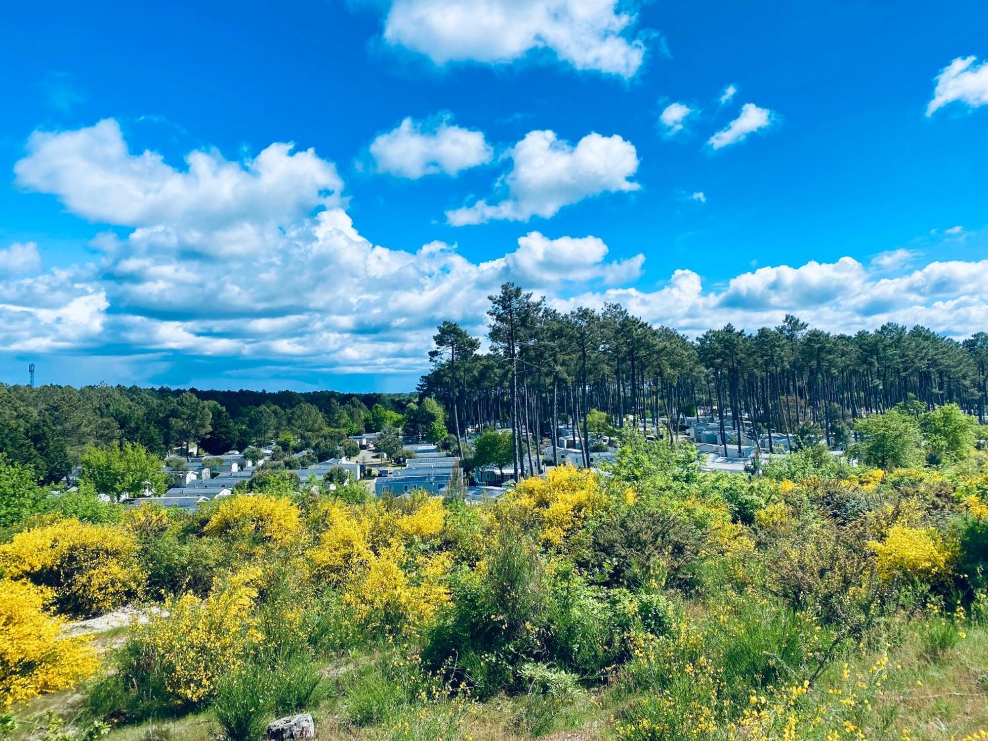 Mobile Home - Les Dunes De Contis Saint-Julien-en-Born Eksteriør bilde